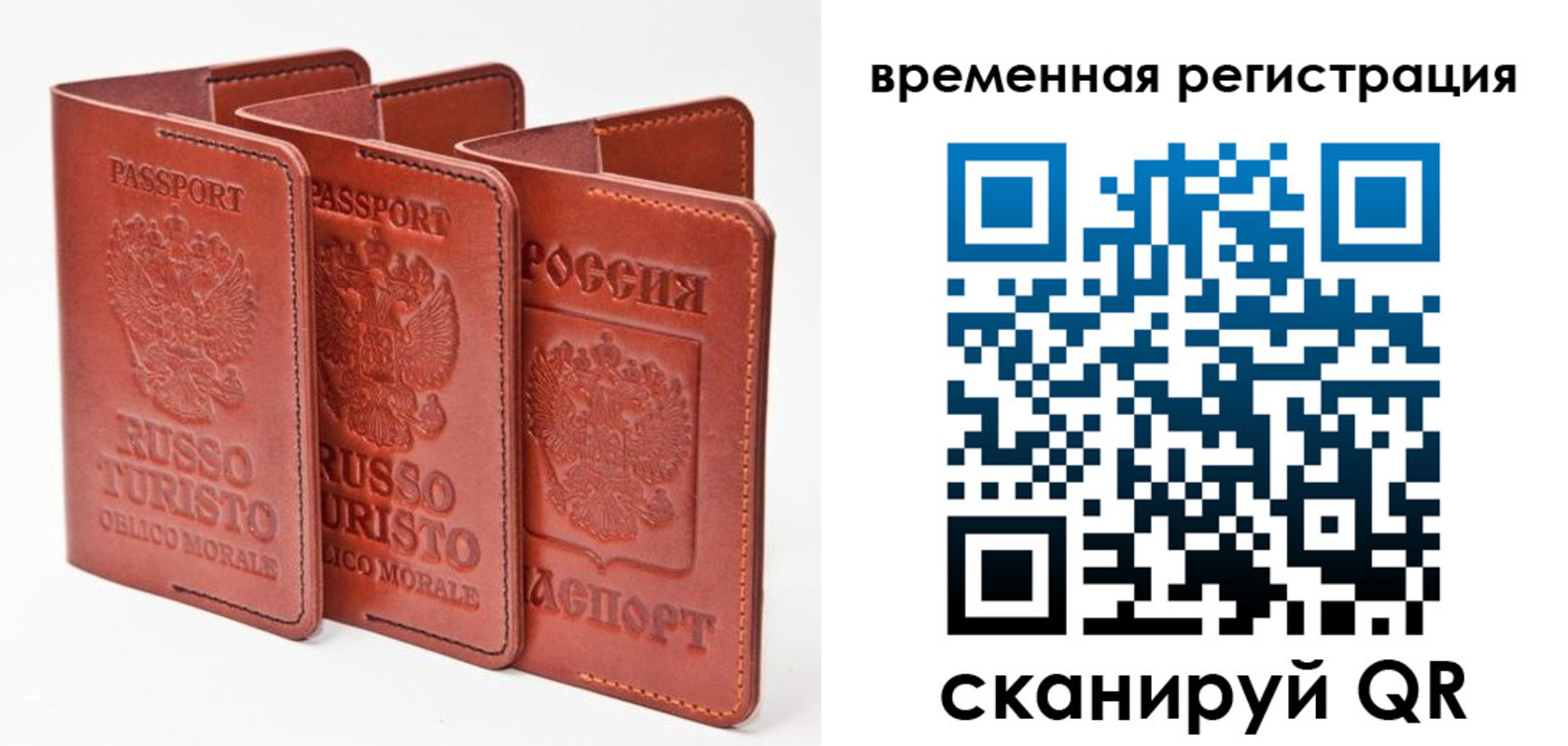 прописка 2025 в Полярных Зорях