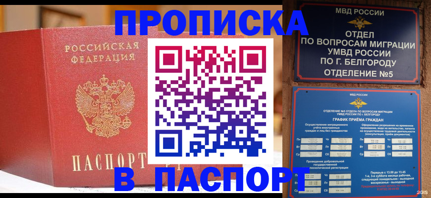 временная регистрация в квартире в Полярных Зорях